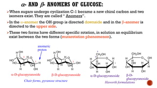 - AND - ANOMERS OF GLUCOSE:
➢When sugars undergo cyclization C-1 became a new chiral carbon and two
isomers exist.They are called “ Anomers”.
➢In the -anomer the OH group is directed downside and in the -anomer is
directed to the upper side.
➢These two forms have different specific rotation, in solution an equilibrium
exist between the two forms (mutarotation phenomenon).
O
H
HO
H
HO
H
OH
OH
H
H
OH
O
H
HO
H
HO
H
H
OH
H
OH
OH
O
H
OH
OH
H
H
OH
H
OH
CH2OH
H
O
H
OH
H
OH
H
OH
H
OH
CH2OH
H
Haworth formulations
Chair forms, pyranose structure
-D-glucopyranoside
-D-glucopyranoside -D-
glucopyranoside
-D-glucopyranoside
1
6
1
1
5 5
anomeric
proton
 