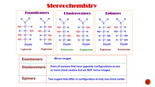 Stereochemistry
C
C*
O
C*
C*
C*
CH2OH
H OH
HO H
H OH
H OH
H
C
C*
O
C*
C*
C*
CH2OH
HO H
H OH
HO H
HO H
H
D-glucose
L-glucose
Enantiomers Epimers
D-mannose D-galactose
Diastereomers
C
C*
O
C*
C*
C*
CH2OH
H OH
HO H
HO H
H OH
H
C
C*
O
C*
C*
C*
CH2OH
HO H
HO H
H OH
H OH
H
C
C*
O
C*
C*
C*
CH2OH
H OH
HO H
H OH
H OH
H
D-glucose D-mannose
C
C*
O
C*
C*
C*
CH2OH
HO H
HO H
H OH
H OH
H
Two sugars that differ in configuration at only one chiral center
Enantiomers
Diastereomers
Epimers
Mirror images
Pairs of isomers that have opposite configurations at one
or more chiral centers but are NOT mirror images
 