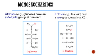 Aldoses (e.g., glucose) have an
aldehyde group at one end.
Ketoses (e.g., fructose) have
a keto group, usually at C2.
C
C OH
H
C H
HO
C OH
H
C OH
H
CH2OH
D-glucose
O
H
C H
HO
C OH
H
C OH
H
CH2OH
CH2OH
C O
D-fructose
 