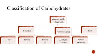 Monosaccharides
1 Sugar unit.
C number
Triose
(3)
Pentose
(5)
Hexose
(6)
Functional group.
Aldehyde
(Aldose)
Ketones
(Ketoses)
Both
 