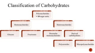 Polysaccharides
> 10 sugar units.
Homosaccharides
Glucans Fructosans
Heterosaccharides
Dissimilar
monosaccharides
Derived
carbohydrates
Polyuronides Mucopolysaccharides
 