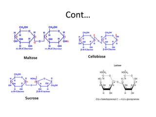 Cont…
-D-Glucose
O
H
OH
H
H
OH
H
OH
CH2OH
H
O
H H
OH
H
OH
H
OH
CH2OH
H
O
1
1
6
4

4

O
H
OH
H
H
OH
H
OH
CH2OH
H
O
H
OH
H
OH
H
OH
H
OH
CH2
H
O
1
1
4

4

O
H
OH
H
H
OH
H
OH
CH2OH
H
O
H H
OH
H
OH
H
OH
CH2OH
H
O
1
1
6
4

4

O
H
OH
H
H
OH
H
OH
CH2OH
H
O
H
OH
H
OH
H
OH
H
OH
CH2
H
O
1
1
4

4

-D-Glucose
-D-Glucose
-D-Glucose
Maltose
Isomaltose
Maltose
-D-Glucose
O
H
OH H
H
OH
H
OH
CH2OH
H
O
H OH
H
H
OH
H
OH
CH2OH
H
1
1 4
4

O

-D-Glucose
Cellobiose
-D-Glucose
O
H
OH
H
H
OH
H
OH
CH2OH
H
O
HOH2C H
CH2OH
OH
H
OH
H
1 2
4 
1

O
-D-Fructose
Sucrose
 