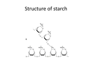 Structure of starch
 