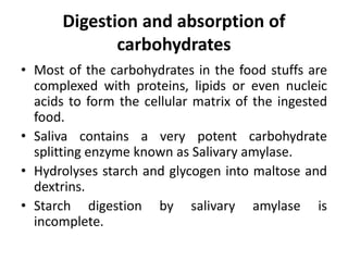 Digestion and absorption of
carbohydrates
• Most of the carbohydrates in the food stuffs are
complexed with proteins, lipids or even nucleic
acids to form the cellular matrix of the ingested
food.
• Saliva contains a very potent carbohydrate
splitting enzyme known as Salivary amylase.
• Hydrolyses starch and glycogen into maltose and
dextrins.
• Starch digestion by salivary amylase is
incomplete.
 