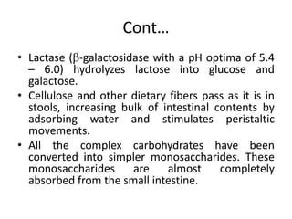 Cont…
• Lactase (-galactosidase with a pH optima of 5.4
– 6.0) hydrolyzes lactose into glucose and
galactose.
• Cellulose and other dietary fibers pass as it is in
stools, increasing bulk of intestinal contents by
adsorbing water and stimulates peristaltic
movements.
• All the complex carbohydrates have been
converted into simpler monosaccharides. These
monosaccharides are almost completely
absorbed from the small intestine.
 