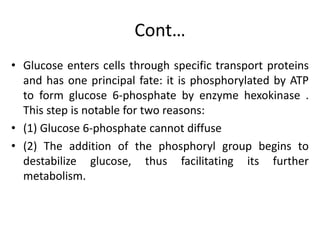 Cont…
• Glucose enters cells through specific transport proteins
and has one principal fate: it is phosphorylated by ATP
to form glucose 6-phosphate by enzyme hexokinase .
This step is notable for two reasons:
• (1) Glucose 6-phosphate cannot diffuse
• (2) The addition of the phosphoryl group begins to
destabilize glucose, thus facilitating its further
metabolism.
 