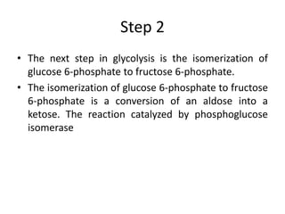 Step 2
• The next step in glycolysis is the isomerization of
glucose 6-phosphate to fructose 6-phosphate.
• The isomerization of glucose 6-phosphate to fructose
6-phosphate is a conversion of an aldose into a
ketose. The reaction catalyzed by phosphoglucose
isomerase
 