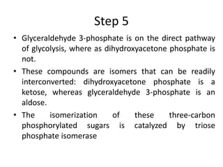 Step 5
• Glyceraldehyde 3-phosphate is on the direct pathway
of glycolysis, where as dihydroxyacetone phosphate is
not.
• These compounds are isomers that can be readily
interconverted: dihydroxyacetone phosphate is a
ketose, whereas glyceraldehyde 3-phosphate is an
aldose.
• The isomerization of these three-carbon
phosphorylated sugars is catalyzed by triose
phosphate isomerase
 