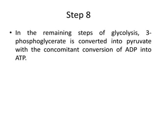 Step 8
• In the remaining steps of glycolysis, 3-
phosphoglycerate is converted into pyruvate
with the concomitant conversion of ADP into
ATP.
 