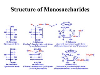 Structure of Monosaccharides
CHO
OH
H
H
HO
OH
H
OH
H
CH2OH
O
H
OH
H
OH
H
OH
H
OH
CH2OH
H
C
OH
H
H
HO
OH
H
H
CH2OH
O
OH
H
D-Glucose
Open chain form
D-Glucose
Fischer's hemiacetal cyclic form
(- and -anomers)
D-Glucose
Haworth's pyranose cyclic form
(Glucopyranose; - and -anomers)
CH2OH
O
H
HO
OH
H
OH
H
CH2OH
O
CH2OH
H
OH
CH2OH
OH
H
OH
H
D-Fructose
Open chain form
D-Fructose
Fischer's hemiacetal cyclic form
(- and -anomers)
D-Fructose
Haworth's furanose cyclic form
(Fructofuranose; - and -anomers)
CH2OH
OH
H
HO
OH
H
H
CH2OH
O





1
2
3
4
5
6
O
Furan
1
2
3
4
5
6
O
Pyran
HO
C
H
HO



OH
H
CH2OH
OH
 