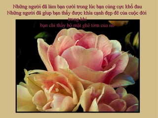 Những người đã làm bạn cười trong lúc bạn cùng cực khổ đau Những người đã gíup bạn thấy được khía cạnh đẹp đẽ của cuộc đời  trong khi bạn chỉ thấy bộ mặt ghê tởm của nó 