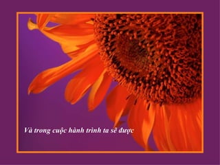 Và trong cuộc hành trình ta sẽ được 