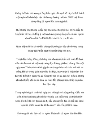 Không thể bảo việc con gái ông biến ngôi nhà sạch sẽ và yên tĩnh thành
một trại nuôi chó chộn rộn và thoang thoảng múi cứt đái là một hành
động đáng để người lớn hoan nghênh.
Thế nhưng ông không la rầy hay trách móc bọn tôi một lời và điều đó
khiến tôi và Hải cò đồng ý một cách rưng rưng rằng nếu có một người
cha tốt nhất trên đời thì đó chính là ba con Tí sún.
Quan niệm đó chỉ đổ vỡ khi chúng tôi phát giác bầy chó hoang trong
trang trại cứ lần lượt biến mất từng con một.
Thoạt đầu chúng tôi nghĩ những con chó đó đã trốn nhà ra đi để thỏa
mãn nỗi đam mê về một cuộc sống dọc đường gió bụi. Nhưng đến một
ngày con Tí sún tình cờ bắt gặp ba nó đang chén chú chén anh với ba
thằng Hải cò trong quán rượu lão Ba Đực, trước mặt là một mâm thịt
được tô điểm bởi lá mơ và củ riềng thì bọn tôi đã đau xót hiểu ra những
chú chó khốn khổ đó đã thực sự ra đi đến cõi nào trong trần gian đầy
bụi bặm này.
Trang trại chó giải tán kể từ ngày đó, không kèn không trống. Giấc mơ
kiếm tiền của những chú nhóc cô nhóc tám tuổi cũng tan thành mây
khói. Chỉ tiếc là con Tủn đã ra đi, nếu không bốn đứa tôi thế nào cũng
lập một phiên tòa để kể tội ba con Tí sún. Ông thật là may.
Nhiều người bảo thịt chó rất ngon. Thậm chí có người bảo bên Hàn
 