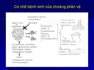 Cô cheá beänh sinh cuûa choaùng phaûn veä
 