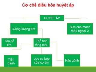 Cơ chế điều hòa huyết áp
Cung lượng tim
Sức cản mạch
máu ngoại vi
Tần số
tim
Thể tích
tống máu
Tiền
gánh
Lực co bóp
của cơ tim
Hậu gánh
HUYẾT ÁP
 