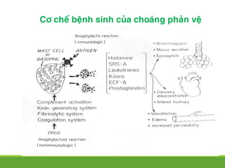 Cô cheá beänh sinh cuûa choaùng phaûn veä
 