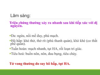 Lâm sàng:
Triệu chứng thường xảy ra nhanh sau khi tiếp xúc với dị
nguyên.
Da: ngứa, nổi mề đay, phù mạch.
Hô hấp: khó thở, thở rít (phù thanh quản), khò khè (co thắt
phế quản).
Tuần hoàn: mạch nhanh, tụt HA, rối loạn tri giác.
Tiêu hoá: buồn nôn, nôn, đau bụng, tiêu chảy.
Tử vong thường do suy hô hấp, tụt HA.
 