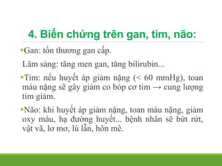 4. Biến chứng trên gan, tim, não:
Gan: tổn thương gan cấp.
Lâm sàng: tăng men gan, tăng bilirubin...
Tim: nếu huyết áp giảm nặng (< 60 mmHg), toan
máu nặng sẽ gây giảm co bóp cơ tim → cung lượng
tim giảm.
Não: khi huyết áp giảm nặng, toan máu nặng, giảm
oxy máu, hạ đường huyết... bệnh nhân sẽ bứt rứt,
vật vã, lơ mơ, lú lẫn, hôn mê.
 