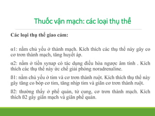 Thuốc vận mạch: các loại thụ thể
Các loại thụ thể giao cảm:
α1: nằm chủ yếu ở thành mạch. Kích thích các thụ thể này gây co
cơ trơn thành mạch, tăng huyết áp.
α2: nằm ở tiền synap có tác dụng điều hòa ngược âm tính . Kích
thích các thụ thể này ức chế giải phóng noradrenaline.
ß1: nằm chủ yếu ở tim và cơ trơn thành ruột. Kích thích thụ thể này
gây tăng co bóp cơ tim, tăng nhịp tim và giãn cơ trơn thành ruột.
ß2: thường thấy ở phế quản, tử cung, cơ trơn thành mạch. Kích
thích ß2 gây giãn mạch và giãn phế quản.
 