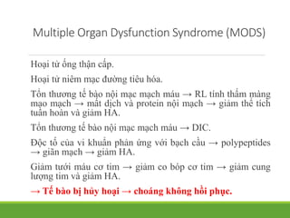 Multiple Organ Dysfunction Syndrome (MODS)
Hoại tử ống thận cấp.
Hoại tử niêm mạc đường tiêu hóa.
Tổn thương tế bào nội mạc mạch máu → RL tính thấm màng
mao mạch → mất dịch và protein nội mạch → giảm thể tích
tuần hoàn và giảm HA.
Tổn thương tế bào nội mạc mạch máu → DIC.
Độc tố của vi khuẩn phản ứng với bạch cầu → polypeptides
→ giãn mạch → giảm HA.
Giảm tưới máu cơ tim → giảm co bóp cơ tim → giảm cung
lượng tim và giảm HA.
→ Tế bào bị hủy hoại → choáng không hồi phục.
 