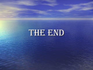 The End 