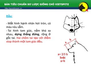 Bản tiêu chuẩn sơ lược giống chó Bắc Hà | PPSX