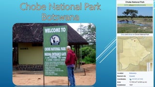 Chobe national park 2017  Botswana,  Africa