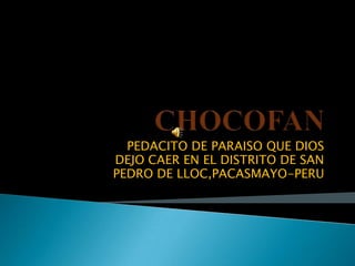 CHOCOFAN PEDACITO DE PARAISO QUE DIOS DEJO CAER EN EL DISTRITO DE SAN PEDRO DE LLOC,PACASMAYO-PERU 