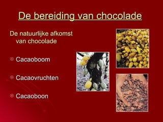 De bereiding van chocolade   De natuurlijke afkomst van chocolade Cacaoboom Cacaovruchten Cacaoboon  