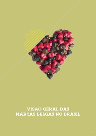 13
VISÃO GERAL DAS
MARCAS BELGAS NO BRASIL
13
 