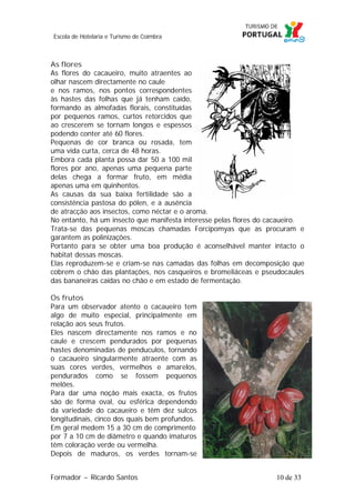 Escola de Hotelaria e Turismo de Coimbra

As flores
As flores do cacaueiro, muito atraentes ao
olhar nascem directamente no caule
e nos ramos, nos pontos correspondentes
às hastes das folhas que já tenham caído,
formando as almofadas florais, constituídas
por pequenos ramos, curtos retorcidos que
ao crescerem se tornam longos e espessos
podendo conter até 60 flores.
Pequenas de cor branca ou rosada, tem
uma vida curta, cerca de 48 horas.
Embora cada planta possa dar 50 a 100 mil
flores por ano, apenas uma pequena parte
delas chega a formar fruto, em média
apenas uma em quinhentos.
As causas da sua baixa fertilidade são a
consistência pastosa do pólen, e a ausência
de atracção aos insectos, como néctar e o aroma.
No entanto, há um insecto que manifesta interesse pelas flores do cacaueiro.
Trata-se das pequenas moscas chamadas Forcipomyas que as procuram e
garantem as polinizações.
Portanto para se obter uma boa produção é aconselhável manter intacto o
habitat dessas moscas.
Elas reproduzem-se e criam-se nas camadas das folhas em decomposição que
cobrem o chão das plantações, nos casqueiros e bromeliáceas e pseudocaules
das bananeiras caídas no chão e em estado de fermentação.
Os frutos
Para um observador atento o cacaueiro tem
algo de muito especial, principalmente em
relação aos seus frutos.
Eles nascem directamente nos ramos e no
caule e crescem pendurados por pequenas
hastes denominadas de penduculos, tornando
o cacaueiro singularmente atraente com as
suas cores verdes, vermelhos e amarelos,
pendurados como se fossem pequenos
melões.
Para dar uma noção mais exacta, os frutos
são de forma oval, ou esférica dependendo
da variedade do cacaueiro e têm dez sulcos
longitudinais, cinco dos quais bem profundos.
Em geral medem 15 a 30 cm de comprimento
por 7 a 10 cm de diâmetro e quando imaturos
têm coloração verde ou vermelha.
Depois de maduros, os verdes tornam-se
Formador ~ Ricardo Santos

10 de 33

 