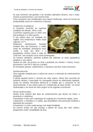Escola de Hotelaria e Turismo de Coimbra

As suas sementes são grandes e de variadas colorações (branca, rosa e roxa),
mesmo as pertencentes a um mesmo fruto.
Estes cacaueiros são considerados uma espécie melhorada, tanto em termos de
produtividade como em resistência a doenças.
Exigências ecologicas
O cacaueiro necessita de especiais
condições de altitude, clima e solo.
O primeiro requisito para se obter uma
boa produção é o clima quente.
A sua cultura deve ser instalada em
regiões com temperatura média anual
superior a 21ºc.
Ambientes
relativamente
húmidos
também lhes são favoráveis: a média
anual de humidade atmosférica deve
oscilar à volta dos 80% e a
precipitação mínima anual à volta de
1250 mm, sem estações secas muito prolongadas.
Os factores climáticos, portanto acabam por delimitar as zonas geográficas
propícias a sua cultura.
Quanto ao solo, ele precisa ser fértil e profundo (no mínimo 1 metro), fresco,
permeável e com PH à volta de 6 (ácido).
As formações aluviais, sedimentares e vulcânicas são-lhes muito favoráveis.
Sombreamento
Uma segunda condição para a cultura do cacau é a obtenção de sombreamento
adequado.
A planta quando jovem é sensível aos raios solares. Nesta fase necessita de
bastante sombra, a qual pode ser conseguida através de arborização regulada,
sendo no entanto necessário diminuí-la à medida que o cacaueiro se vai
desenvolvendo. A sua cultura pode ser estabelecida de duas formas: em áreas
desbravadas e em áreas de mata virgem ou de segundo crescimento.
Áreas desbravadas
Nestas áreas existem dois tipos de sombreamento que devem ser feitos: o
provisório e o definitivo.
O provisório é feito com a plantação de vegetais de crescimento rápido, como
a bananeira, a mandioca e a taioba, que possibilitam uma protecção imediata à
plantação do cacaueiro.
A bananeira é a mais usada porque tem dupla finalidade.
Ao mesmo tempo em que protege a planta do cacau dos raios solares,
proporciona maior rentabilidade da área.

Formador ~ Ricardo Santos

12 de 33

 