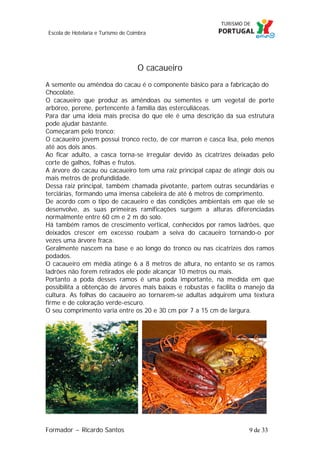 Escola de Hotelaria e Turismo de Coimbra

O cacaueiro
A semente ou amêndoa do cacau é o componente básico para a fabricação do
Chocolate.
O cacaueiro que produz as amêndoas ou sementes e um vegetal de porte
arbóreo, perene, pertencente á família das esterculiáceas.
Para dar uma ideia mais precisa do que ele é uma descrição da sua estrutura
pode ajudar bastante.
Começaram pelo tronco:
O cacaueiro jovem possui tronco recto, de cor marron e casca lisa, pelo menos
até aos dois anos.
Ao ficar adulto, a casca torna-se irregular devido às cicatrizes deixadas pelo
corte de galhos, folhas e frutos.
A árvore do cacau ou cacaueiro tem uma raiz principal capaz de atingir dois ou
mais metros de profundidade.
Dessa raiz principal, também chamada pivotante, partem outras secundárias e
terciárias, formando uma imensa cabeleira de até 6 metros de comprimento.
De acordo com o tipo de cacaueiro e das condições ambientais em que ele se
desenvolve, as suas primeiras ramificações surgem a alturas diferenciadas
normalmente entre 60 cm e 2 m do solo.
Há também ramos de crescimento vertical, conhecidos por ramos ladrões, que
deixados crescer em excesso roubam a seiva do cacaueiro tornando-o por
vezes uma árvore fraca.
Geralmente nascem na base e ao longo do tronco ou nas cicatrizes dos ramos
podados.
O cacaueiro em média atinge 6 a 8 metros de altura, no entanto se os ramos
ladrões não forem retirados ele pode alcançar 10 metros ou mais.
Portanto a poda desses ramos é uma poda importante, na medida em que
possibilita a obtenção de árvores mais baixas e robustas e facilita o manejo da
cultura. As folhas do cacaueiro ao tornarem-se adultas adquirem uma textura
firme e de coloração verde-escuro.
O seu comprimento varia entre os 20 e 30 cm por 7 a 15 cm de largura.

Formador ~ Ricardo Santos

9 de 33

 