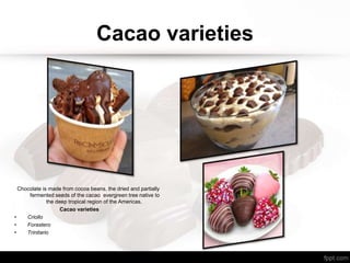 Cacao varieties
Chocolate is made from cocoa beans, the dried and partially
fermented seeds of the cacao evergreen tree native to
the deep tropical region of the Americas.
Cacao varieties
• Criollo
• Forastero
• Trinitario
 