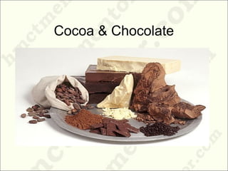 Cocoa & Chocolate
 