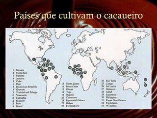 Países que cultivam o cacaueiro
 
