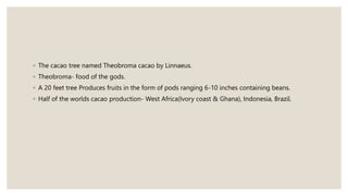 ◦ The cacao tree named Theobroma cacao by Linnaeus.
◦ Theobroma- food of the gods.
◦ A 20 feet tree Produces fruits in the form of pods ranging 6-10 inches containing beans.
◦ Half of the worlds cacao production- West Africa(Ivory coast & Ghana), Indonesia, Brazil.
 