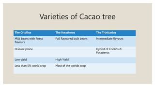 Varieties of Cacao tree
The Criollos The forasteros The Trinitarios
Mild beans with finest
flavours
Full flavoured bulk beans Intermediate flavours
Disease prone Hybrid of Criollos &
Forasteros
Low yield High Yield
Less than 5% world crop Most of the worlds crop
 