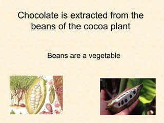 Chocolate is extracted from the  beans  of the cocoa plant Beans are a vegetable 