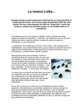 La mosca Lolka...
Aunque suene un poco asqueroso, este insecto es el que permite la
existencia del cacao: es el único capaz de polinizar la flor de esta
planta. Por eso, anda dejando de lado tus "prejuicios" contra las
moscas y acepta que también juegan un rol fundamental en el
ecosistema.
Si te dijéramos que es una mosca la "culpable" de que comamos chocolate,
seguro que pides una explicación. Y más aún, si te contáramos que uno de estos
insectos es el único capaz de polinizar la planta de cacao, de seguro lo
encontrarías un poco asqueroso.
¡ Y justamente una de ellas es la diminuta mosca "Lolka", cuya participación es
importantísima para el desarrollo del cacao, ya que debido a su tamaño es la única
capaz de hacer el laberíntico y difícil recorrido en el interior de la flor de cacao
para polinizar y, posteriormente, fertilizar la planta.
Ella aparece al inicio de la primavera, cuando el
cacaotal (la planta de cacao) se cubre con una capa
de humedad un poco más densa que la normal. En
ese minuto llegan varios insectos, en abundancia,
muchos de los cuales comienzan a devorarlo todo. No
así la mosca Lolka, que sólo hace su trabajo... y muy
bien. ¡Imagínate!, sin ella el cacao no existiría y no
tendríamos chocolate... ¡y esa sí sería una tragedia!.
Lo malo es que no estamos tan lejos tener que asumir
una catástrofe como esa, ya que es muy probable
que la destrucción a un ritmo acelerado de la
pluviselvas neotropicales (donde vive este insecto),
estén llevándose consigo a esta súper mosca
polinizadora.
Hoy en día el cacao es un cultivo que se da alrededor de todo el cinturón
ecuatorial, y frecuentemente se encuentran plantaciones abiertas, en lugar de
estar bajo otra especie protectora más alta y frondosa, como se cultivaba
originalmente. Por lo mismo, casi más del 30 por ciento de la producción mundial
de cacao se pierde a causa de plagas y enfermedades, las cuales han sido
combatidas en Asia con pesticidas y herbicidas, lo que a su vez trae consigo una
gran pérdida de bio-diversidad.
 