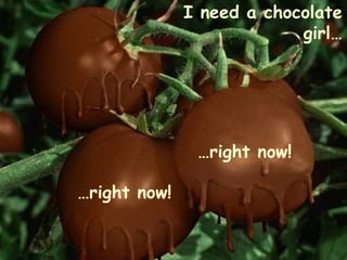 … right now! I need a chocolate girl… … right now! 