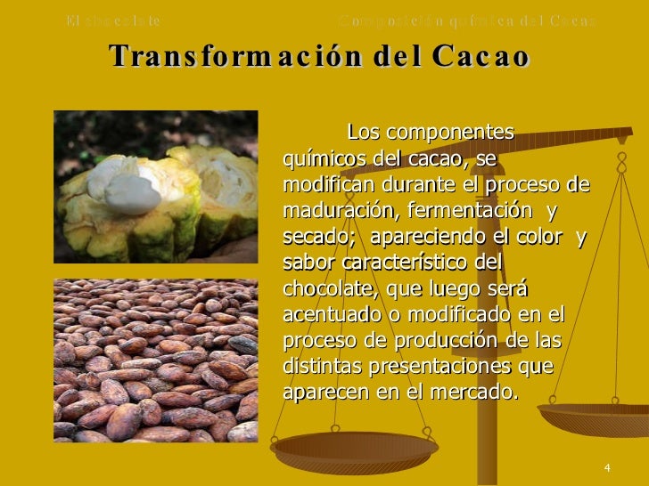 El Chocolate, composición química del Cacao