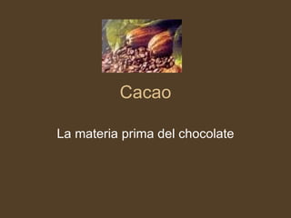 Cacao La materia prima del chocolate 