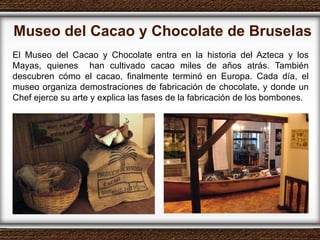 Museo del Cacao y Chocolate de Bruselas El Museo del Cacao y Chocolate entra en la historia del Azteca y los Mayas, quienes  han cultivado cacao miles de años atrás. También descubren cómo el cacao, finalmente terminó en Europa. Cada día, el museo organiza demostraciones de fabricación de chocolate, y donde un Chef ejerce su arte y explica las fases de la fabricación de los bombones. 