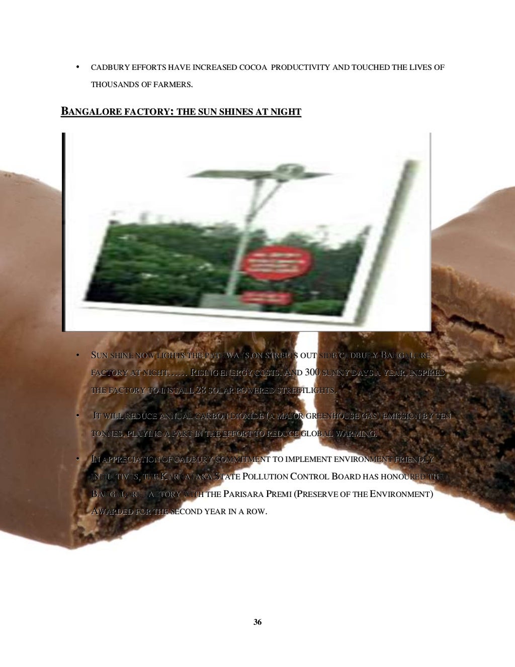 Chocolate industry project report