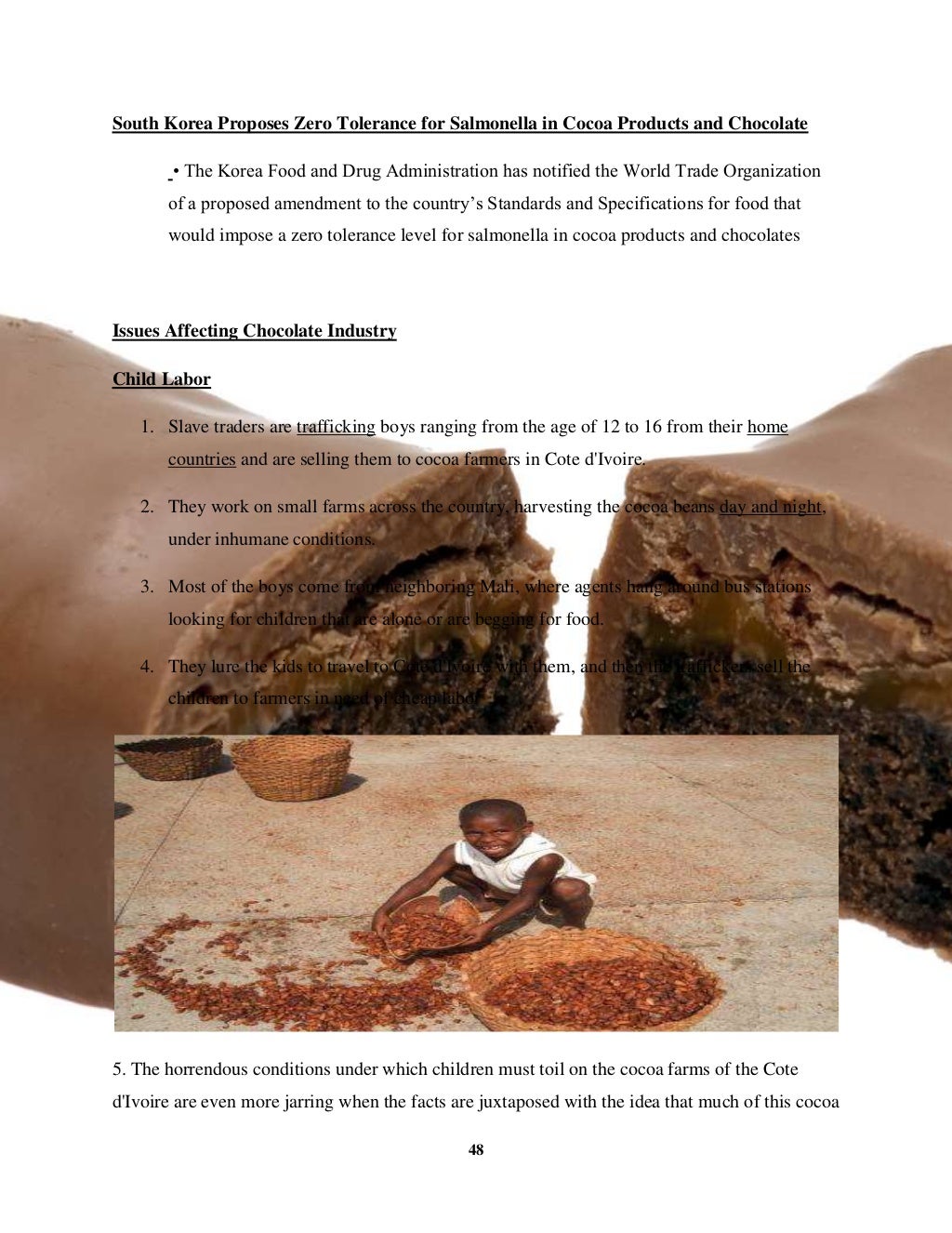 Chocolate industry project report