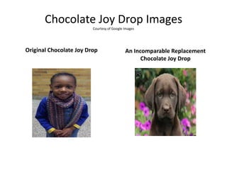 Chocolate Joy Drop Images
Courtesy of Google Images
Original Chocolate Joy Drop An Incomparable Replacement
Chocolate Joy Drop
 