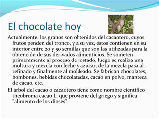 El chocolate hoy
Actualmente, los granos son obtenidos del cacaotero, cuyos
frutos penden del tronco, y a su vez, éstos contienen en su
interior entre 20 y 50 semillas que son las utilizadas para la
obtención de sus derivados alimenticios. Se someten
primeramente al proceso de tostado, luego se realiza una
moltura y mezcla con leche y azúcar, de la mezcla pasa al
refinado y finalmente al moldeado. Se fabrican chocolates,
bombones, bebidas chocolatadas, cacao en polvo, manteca
de cacao, etc.
El árbol del cacao o cacaotero tiene como nombre científico
theobroma cacao L. que proviene del griego y significa
"alimento de los dioses".
 