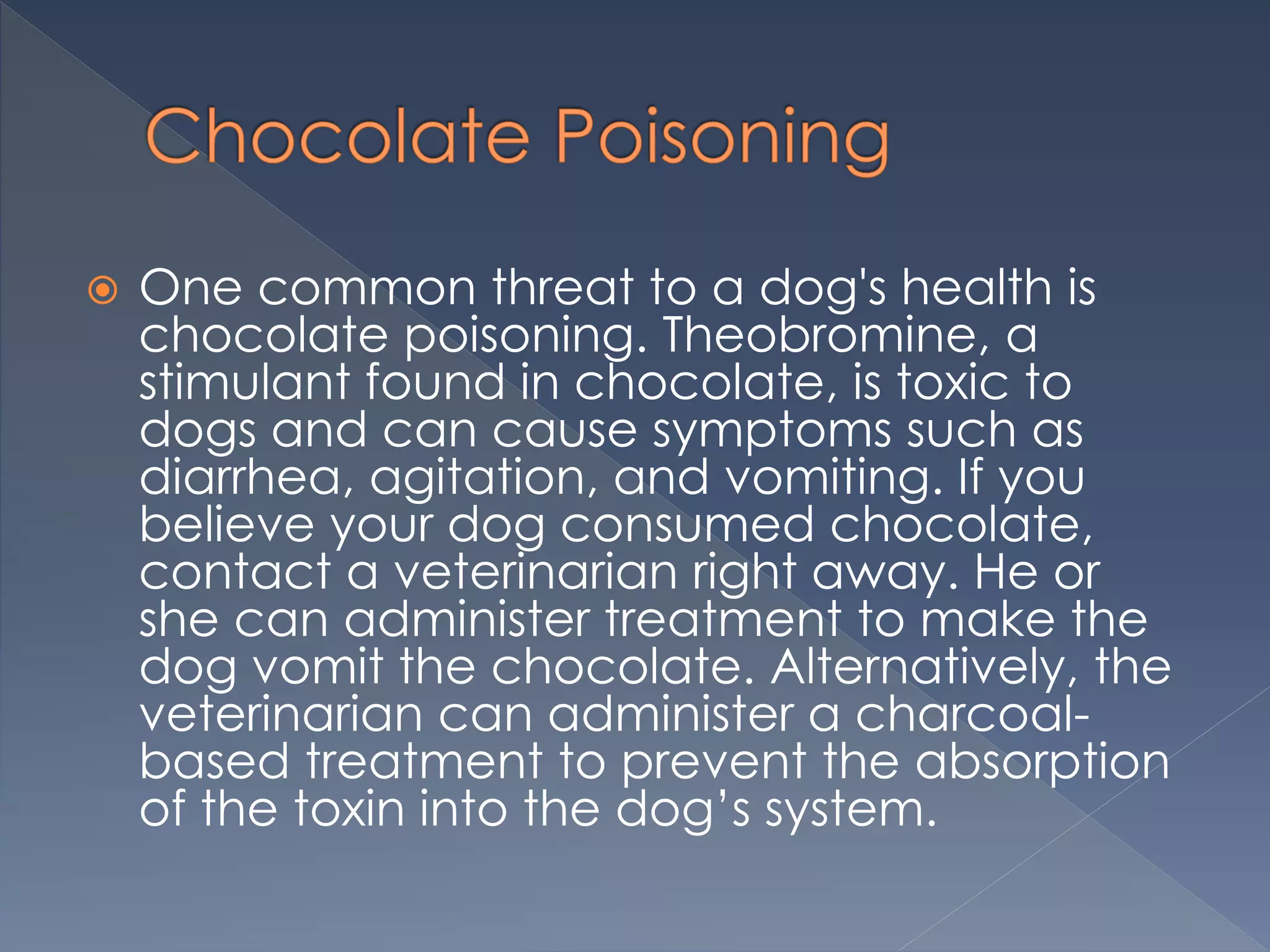 View of Chocolate Poisoning in Pet Dogs | PPTX