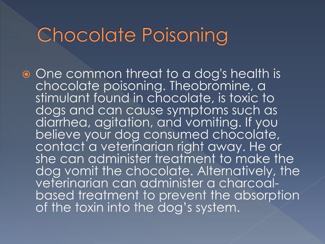 Curated visual reference: Visual Reference: Chocolate Poisoning In Pet Dogs